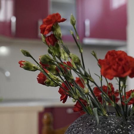 Priko Cetine Apartment Omis Luaran gambar