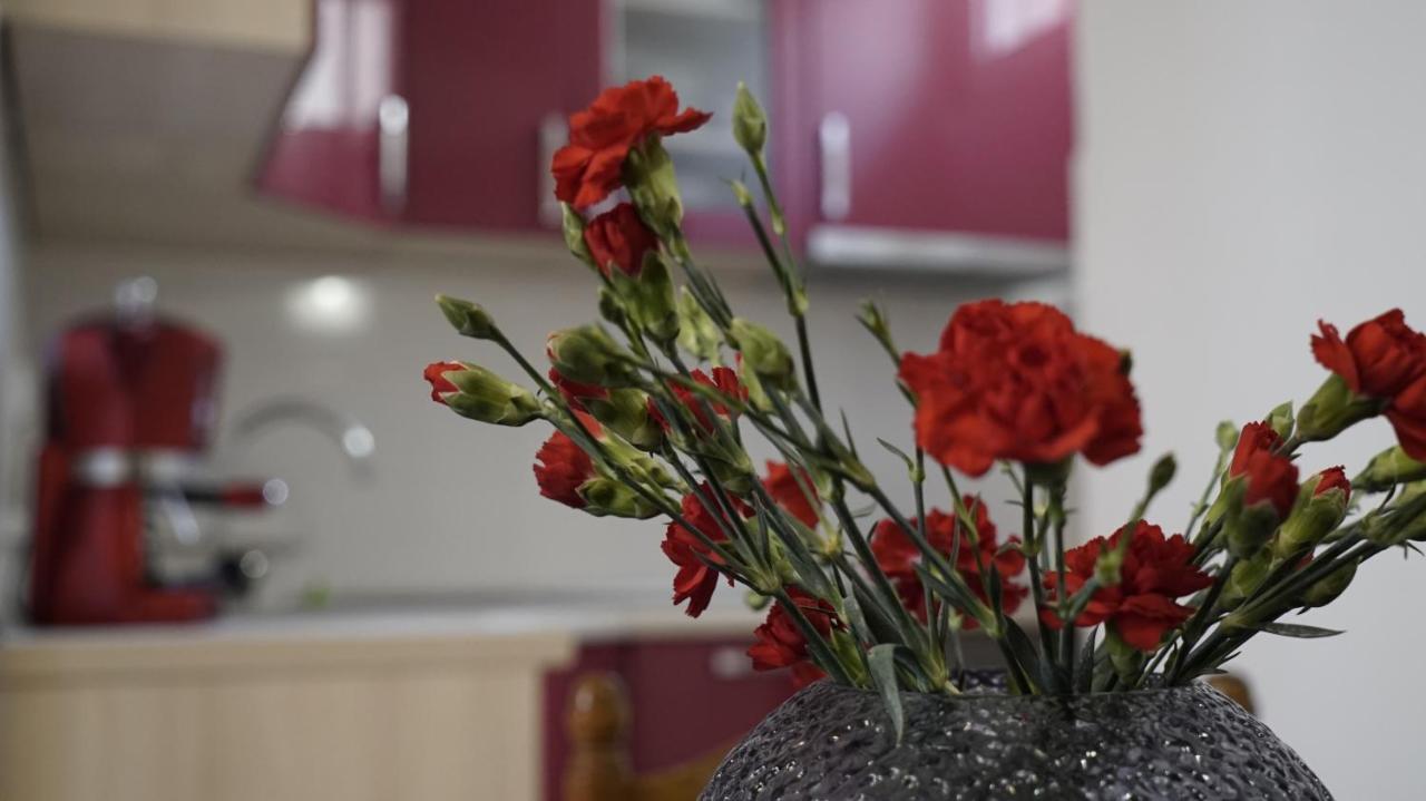 Priko Cetine Apartment Omis Luaran gambar